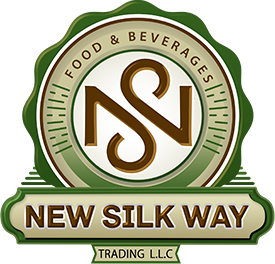 NEW SILK WAY Logo